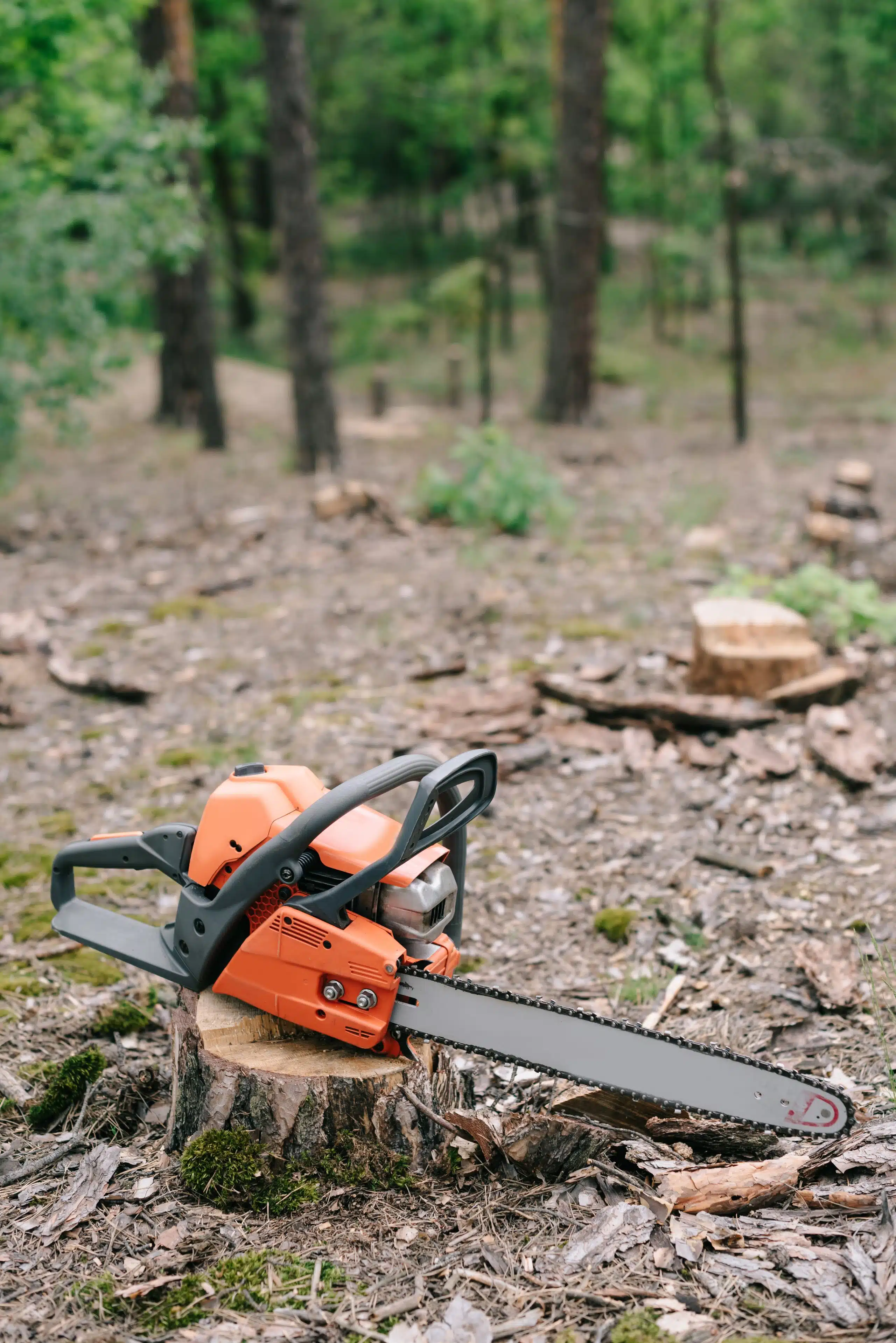 electric, sharp, orange chainsaw on wood stump in forest